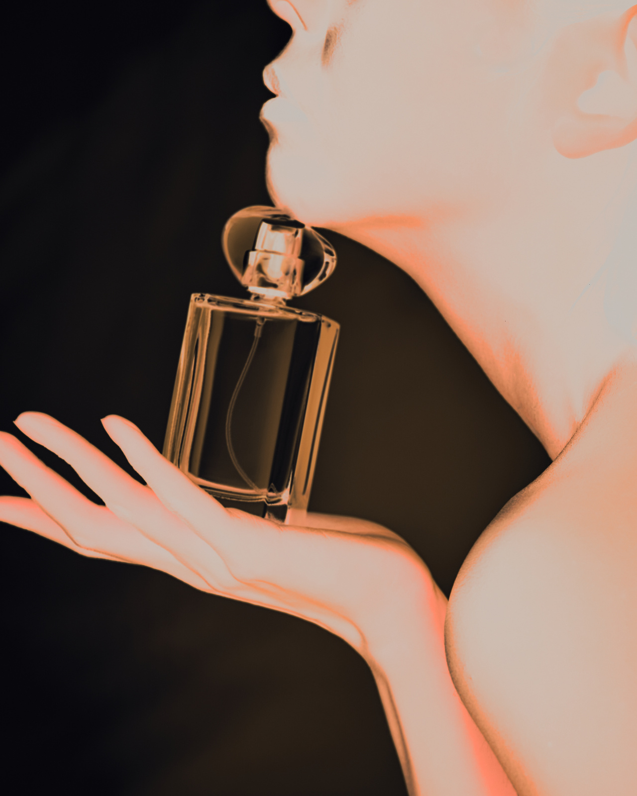 Beauty & fragrance